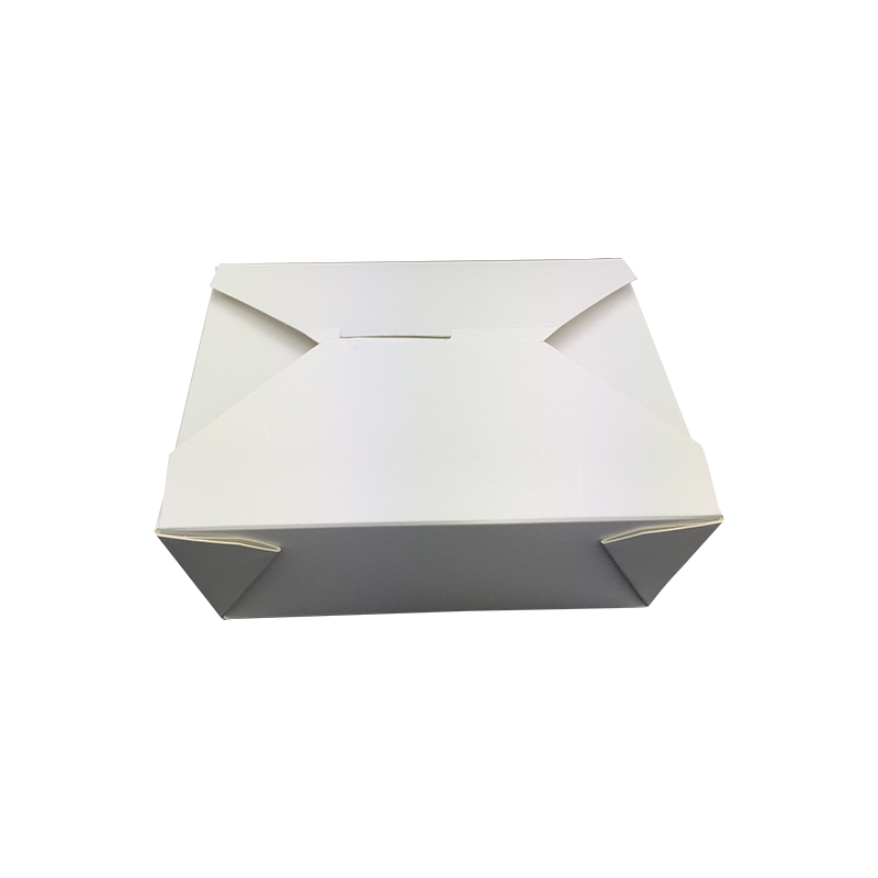 Hvid/trykt PE/PLA Papir Take-out Box Food Container